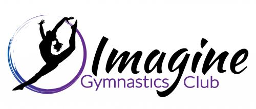Imagine Gymnastics Club